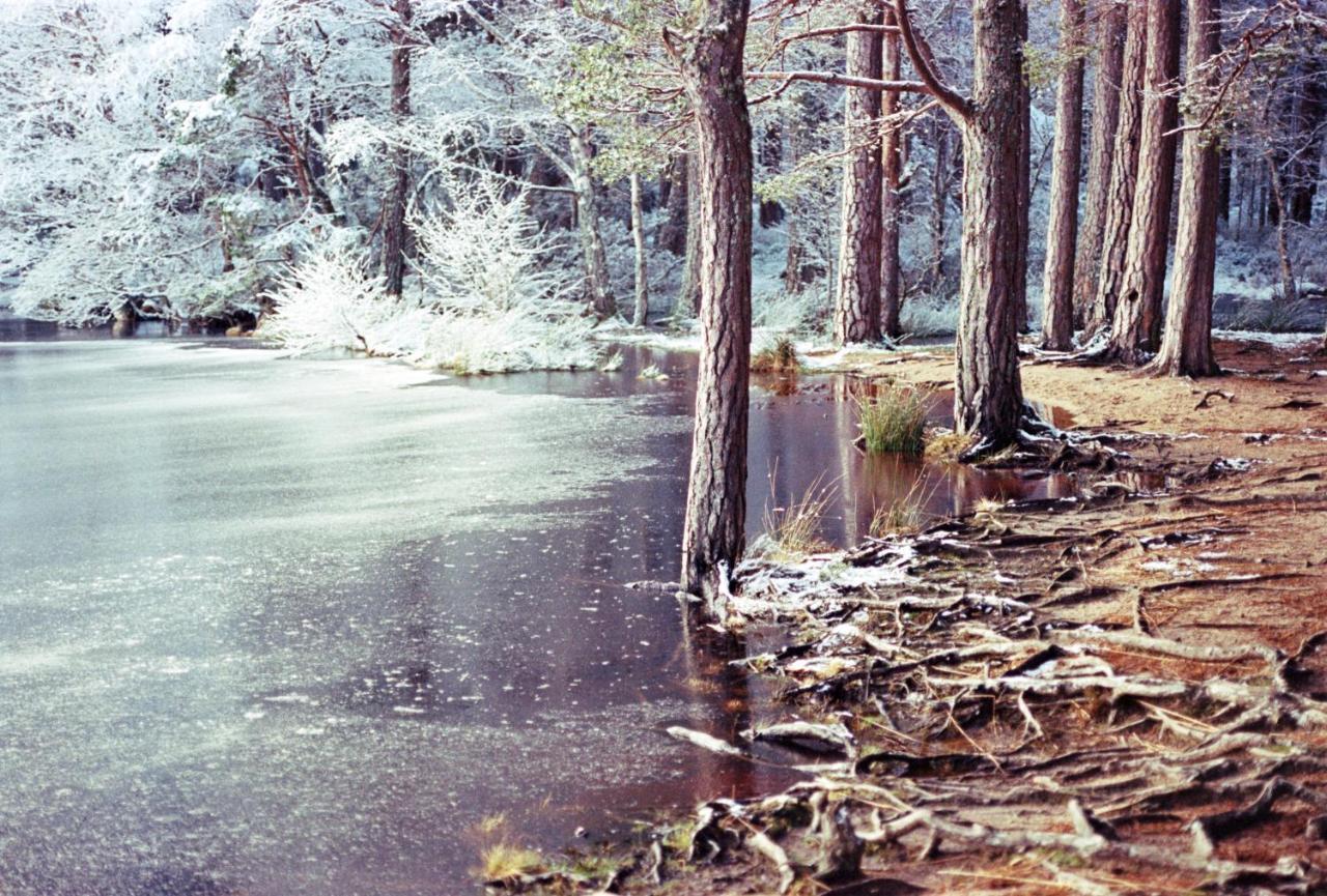Ptarmigan Daire Nethy Bridge Dış mekan fotoğraf